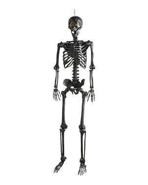 5ft Led Hanging Skeleton | Marshalls