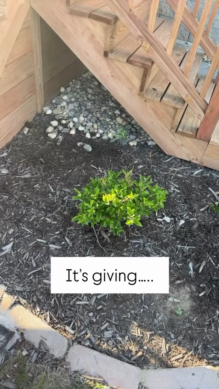 Aside from the hard working man, this song is quite accurate 😜. I LOVE Spring!!

#spring #summer #planting #landscape #outdoors