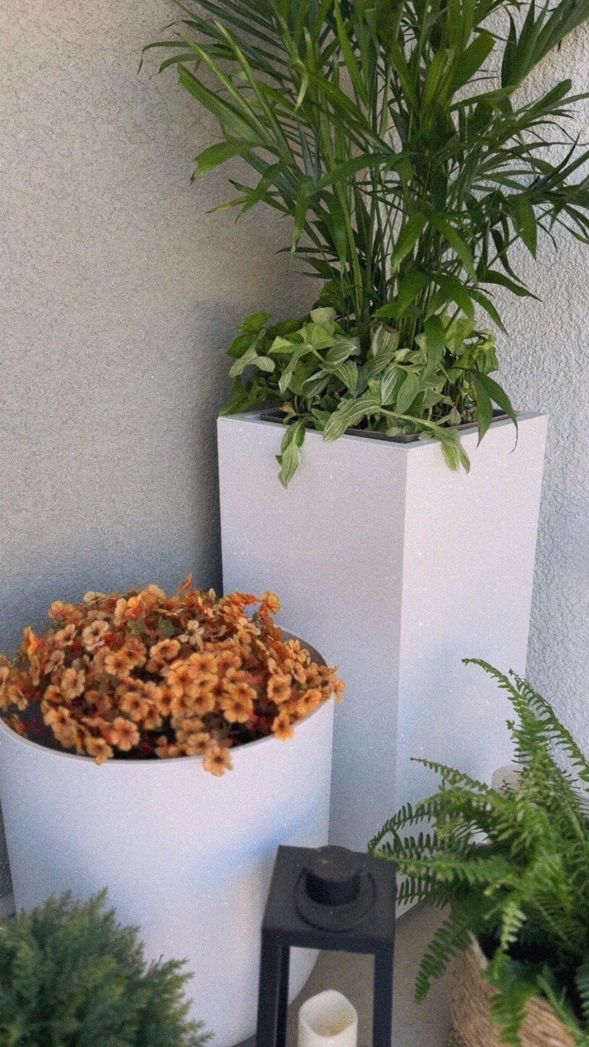 Amazon Prime Day deal! 

Outdoor planter
Front entryway decor

#LTKHome #LTKSeasonal #LTKSaleAlert