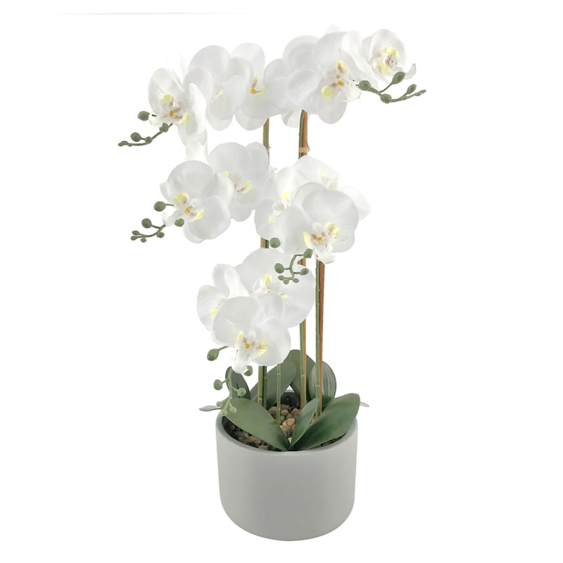 Orchid Flower with Grey Cement Planter, 24" | At Home