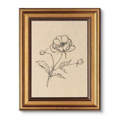VIYYIEA Vintage Gold Framed Wall Art for Living Room, Poppy Canvas Prints Home Decor, Sketch Painting Picture, Bedroom Wall Decor Gifts for Friends or Family -【Poppy】-(10L x 8W) | Amazon (US)