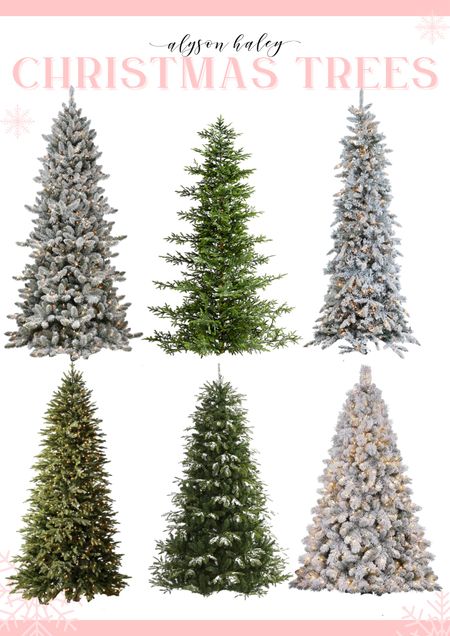 Want a tree last minute? Shop this guide to find the perfect tree! 

#LTKhome #LTKHoliday #LTKGiftGuide