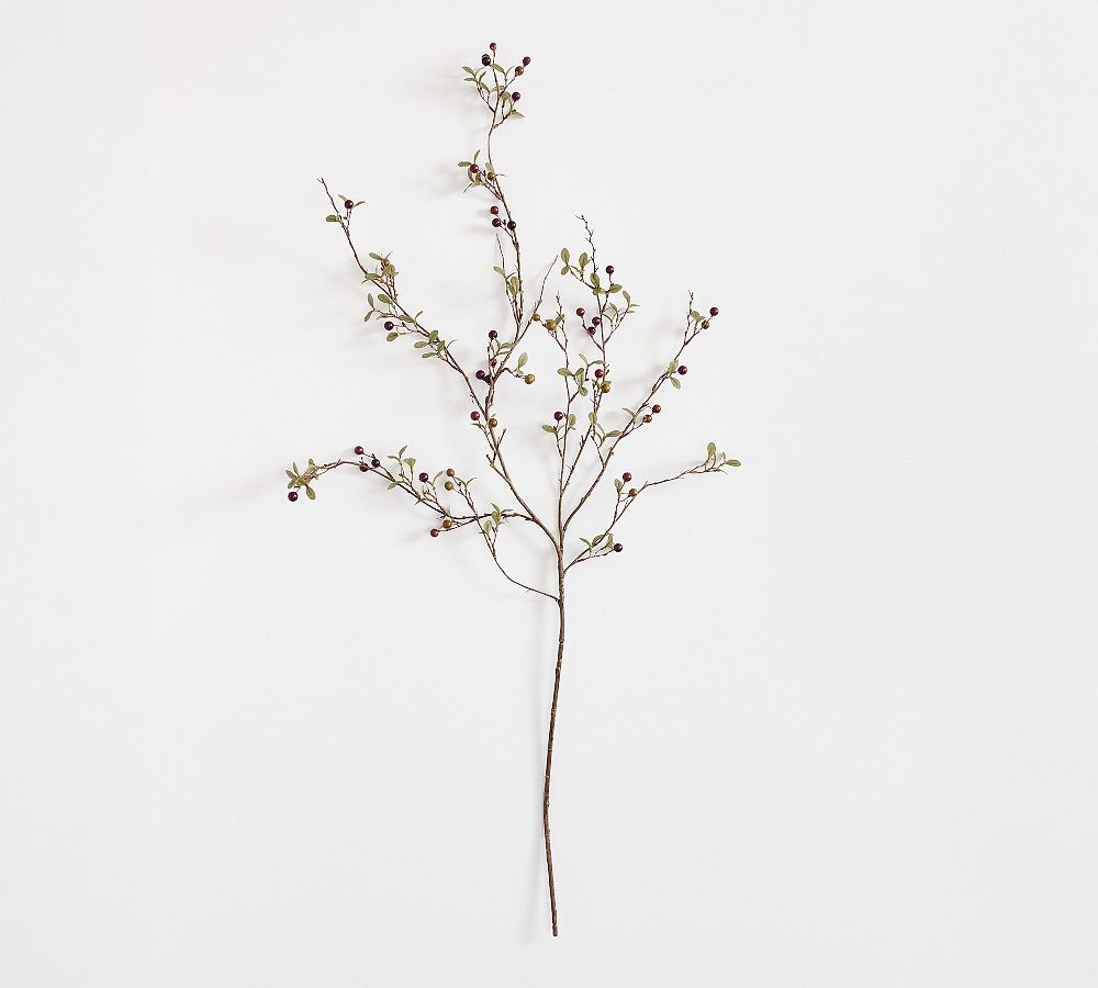 Faux Chocolate Berry Branch | Pottery Barn (US)