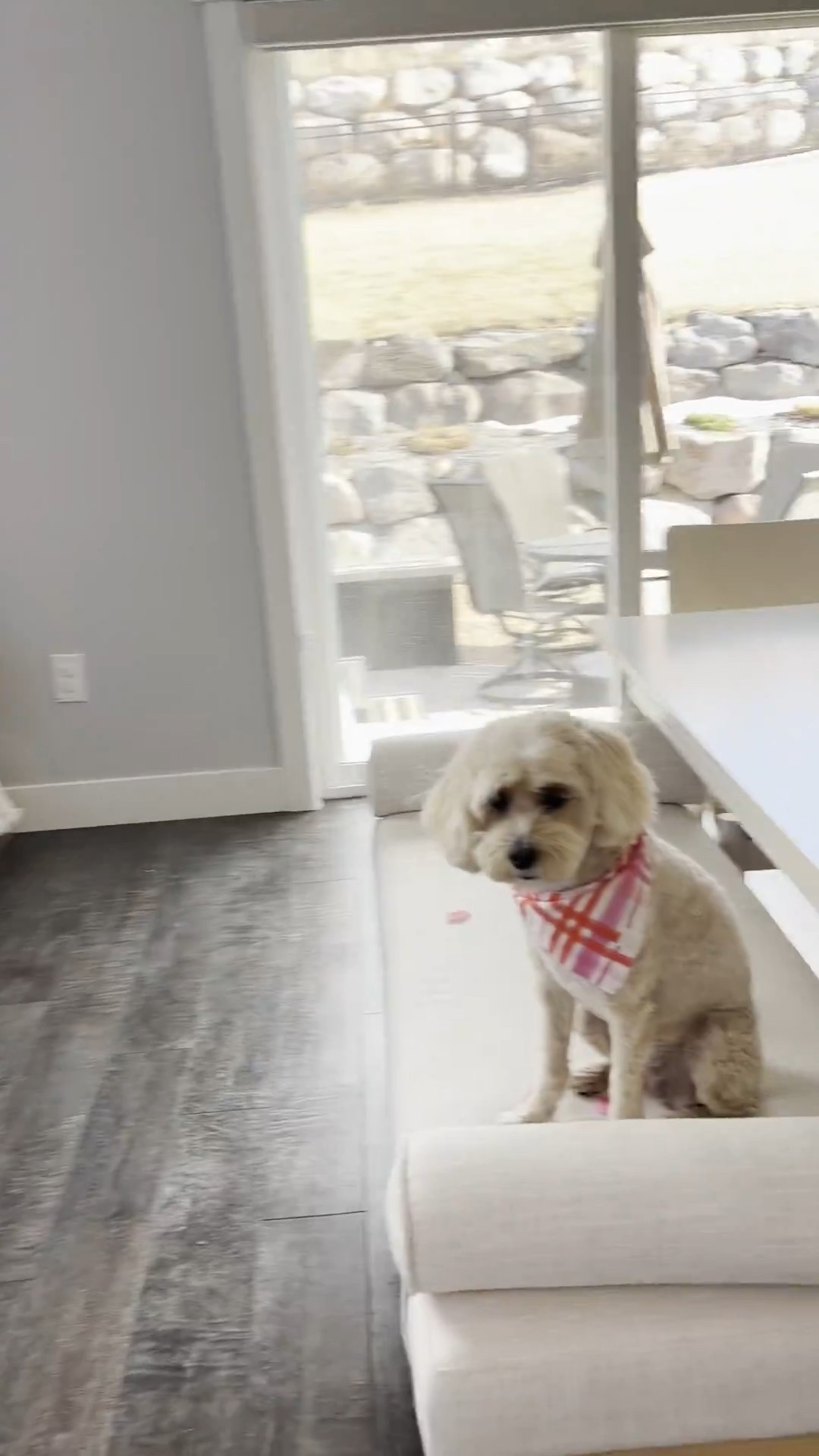 #LTKmomlife #LTKHome #LTKdayinmylife