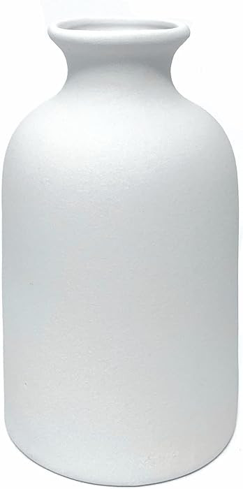 Ceramic White Small Vase, Dry Flower Vases Minimalism Style for Modern Table Shelf Home Decor, Fi... | Amazon (US)