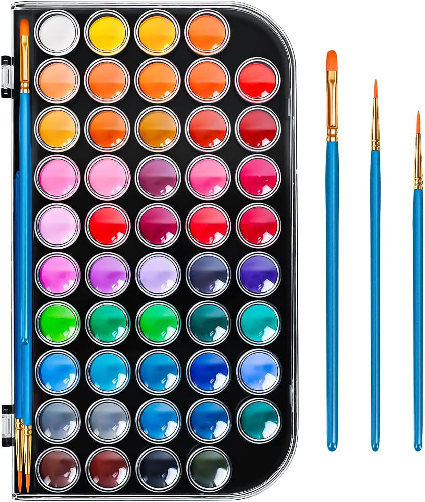 48 Color Solid Watercolor Paint Set with 3 Wooden Brushes for Adults Kids | Amazon (US)