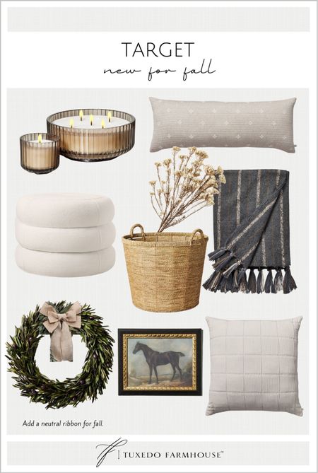 Fall home decor finds from Target. 

accent chairs, throw pills, pumpkin decor, bowl fillers, fall stems, vases, runner rugs, fall decor, home decor  

#ltkunder50
#ltkunder100

#LTKFind #LTKhome #LTKSeasonal