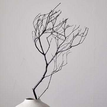 Dried Spooky Branch | West Elm (US)