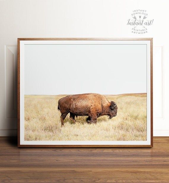 Bison print, Bison art, PRINTABLE art, Landscape print, Landscape photography, Animal print, Buffalo | Etsy (CAD)