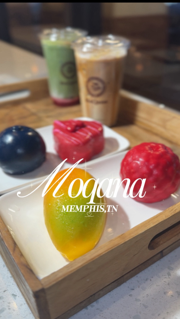 Moqana Coffee Shop Review

#LTKfoodie #LTKvlog #LTKU