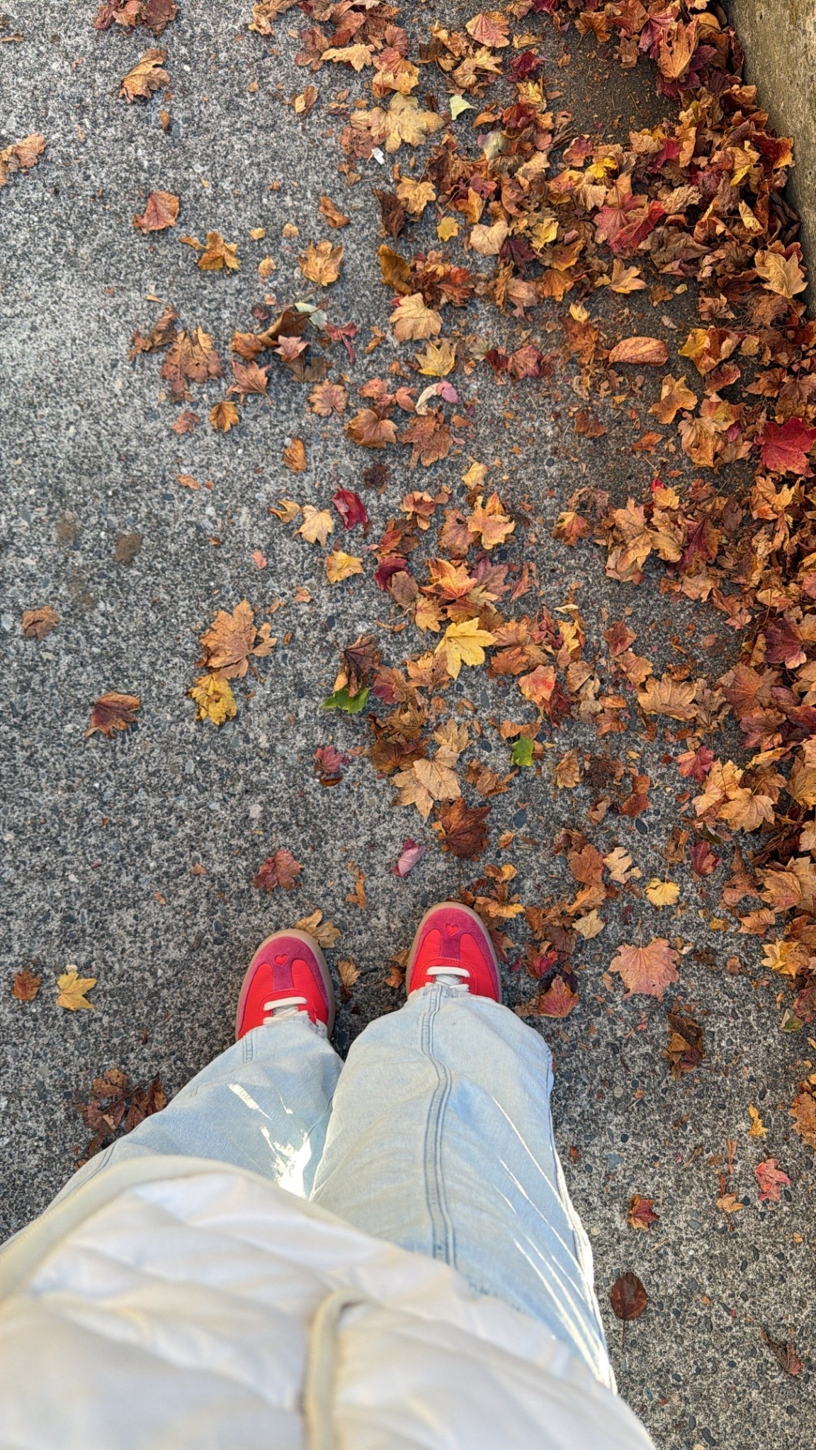 Love these red sambas ❤️

#LTKShoeCrush