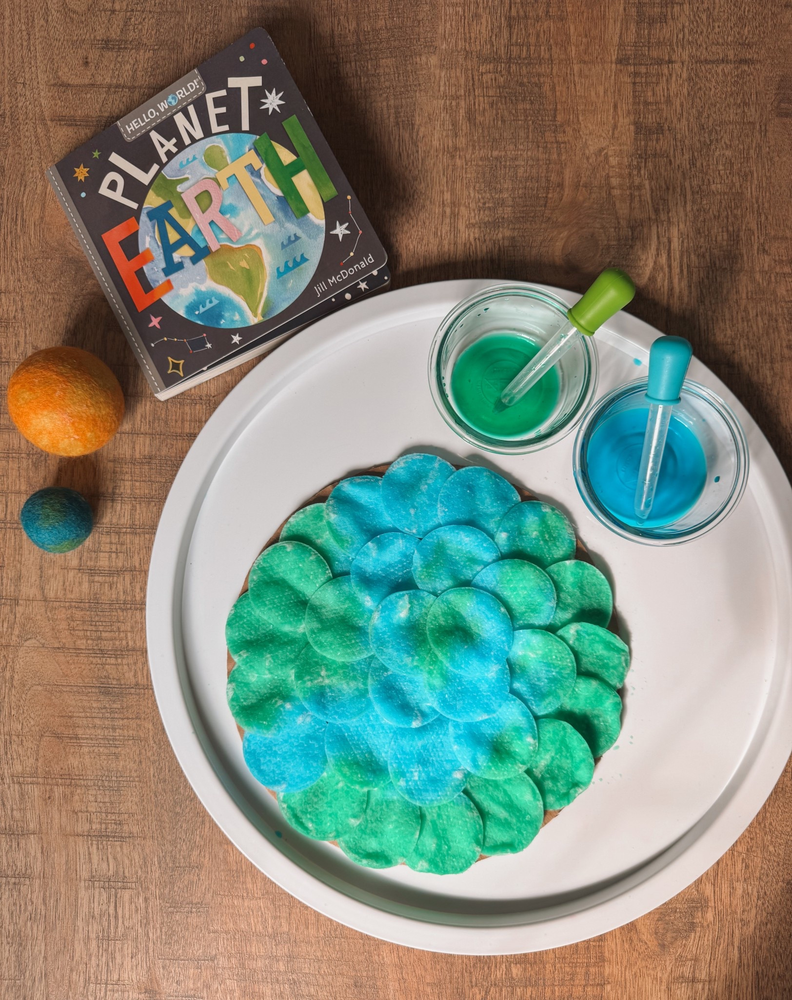 EARTH DAY ACTIVITwart

#LTKSeasonal #LTKHome #LTKKids