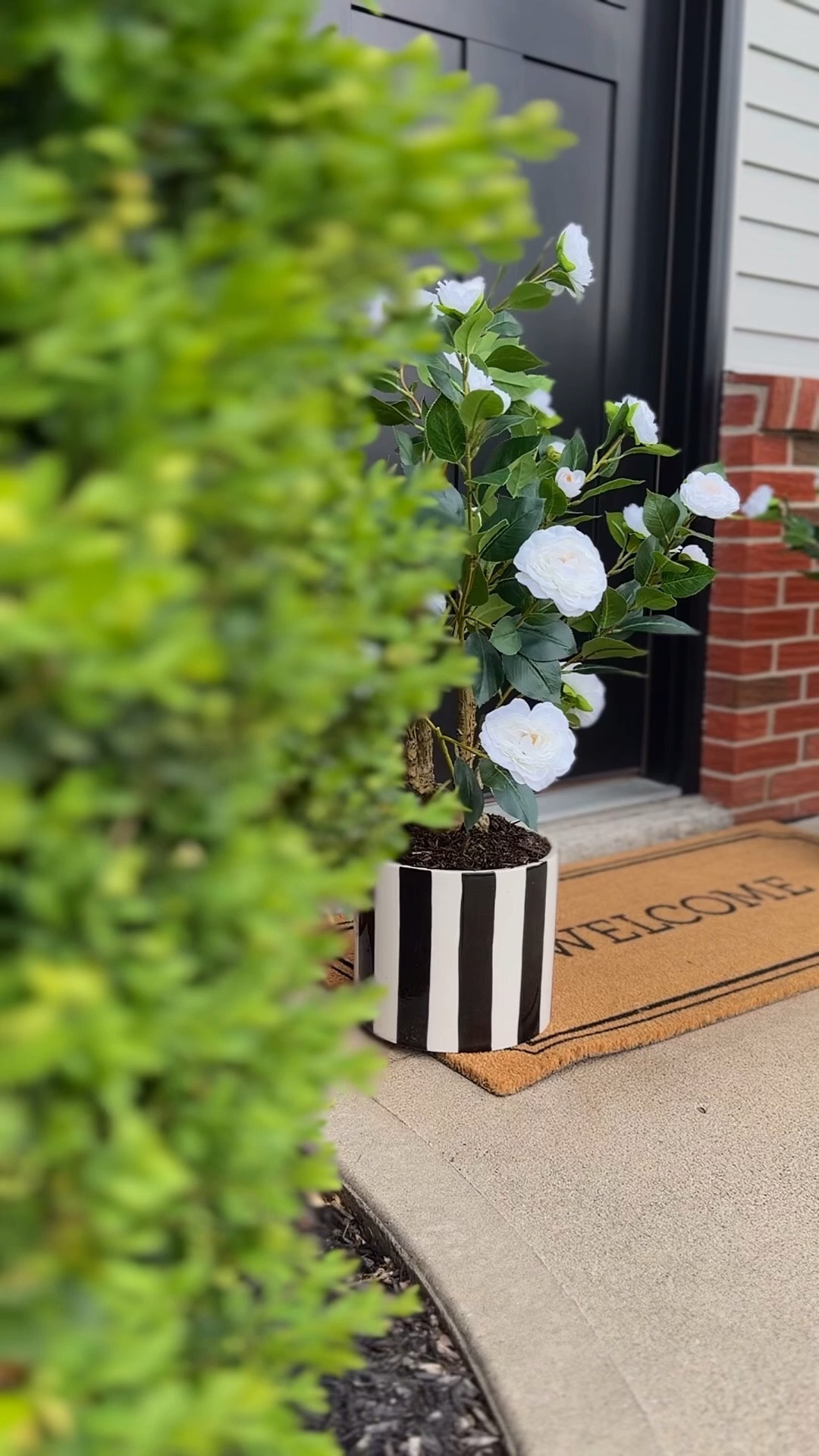 New faux plants for my front door area. 
🖤 🤍🖤

#LTKHome #LTKSeasonal