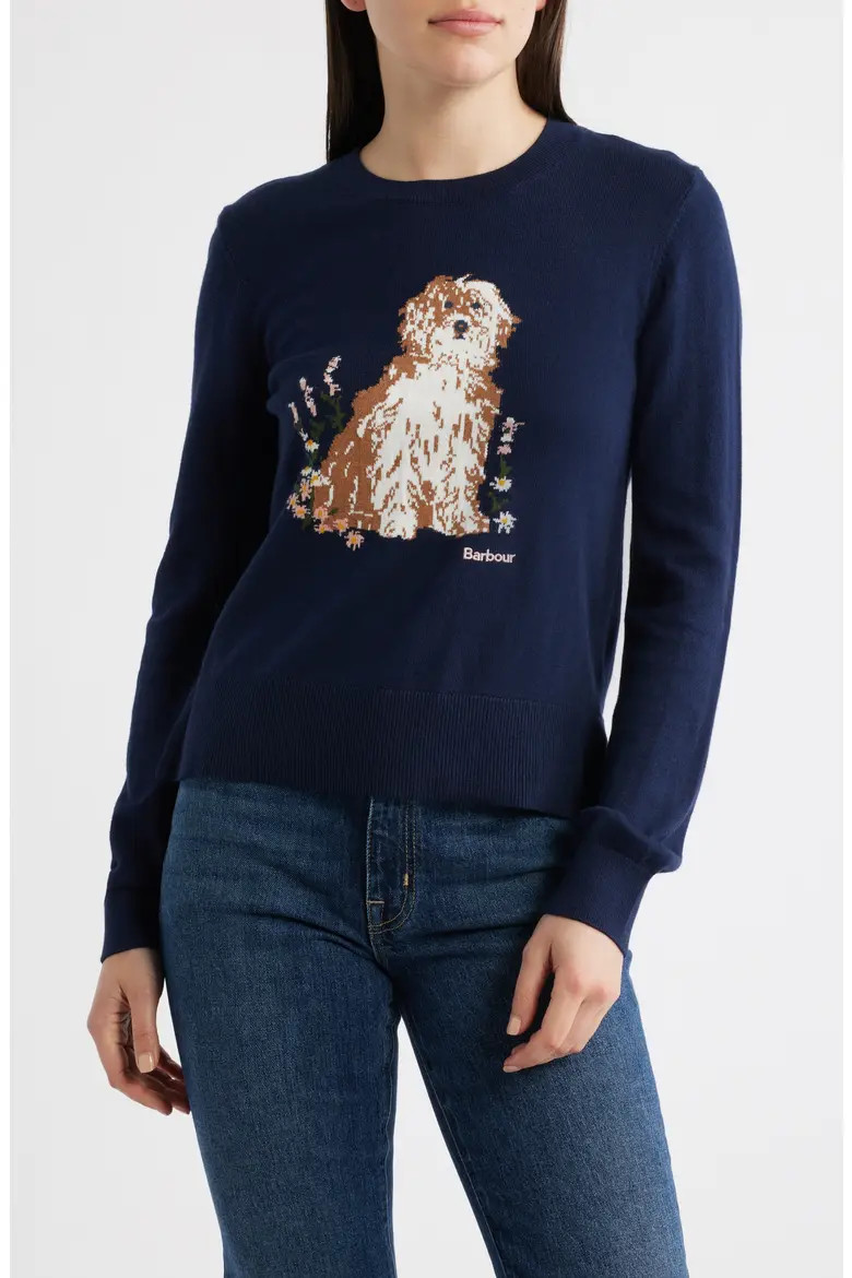 Alder Intarsia Cotton & Cashmere Sweater (Women) | Nordstrom | Nordstrom