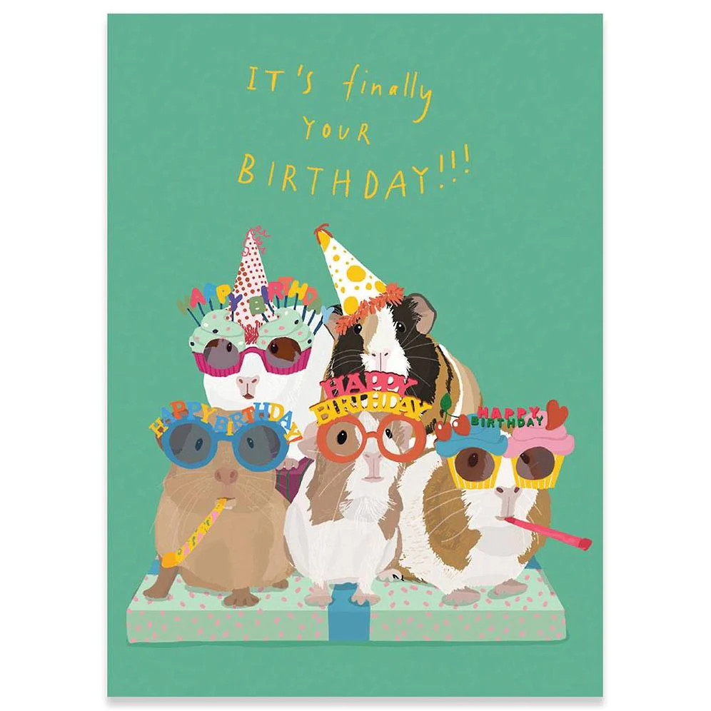 Guinea Pig Party Birthday Card | Paper Source