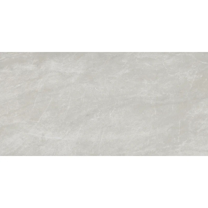 Praia 12" x 24" Matte Porcelain Floor and Wall Tile | Wayfair North America
