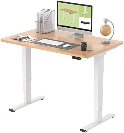 FLEXISPOT Stand Up Desk 3 Stages Dual Motor Electric Standing Desk 48x30 Inch Whole-Piece Board H... | Amazon (US)
