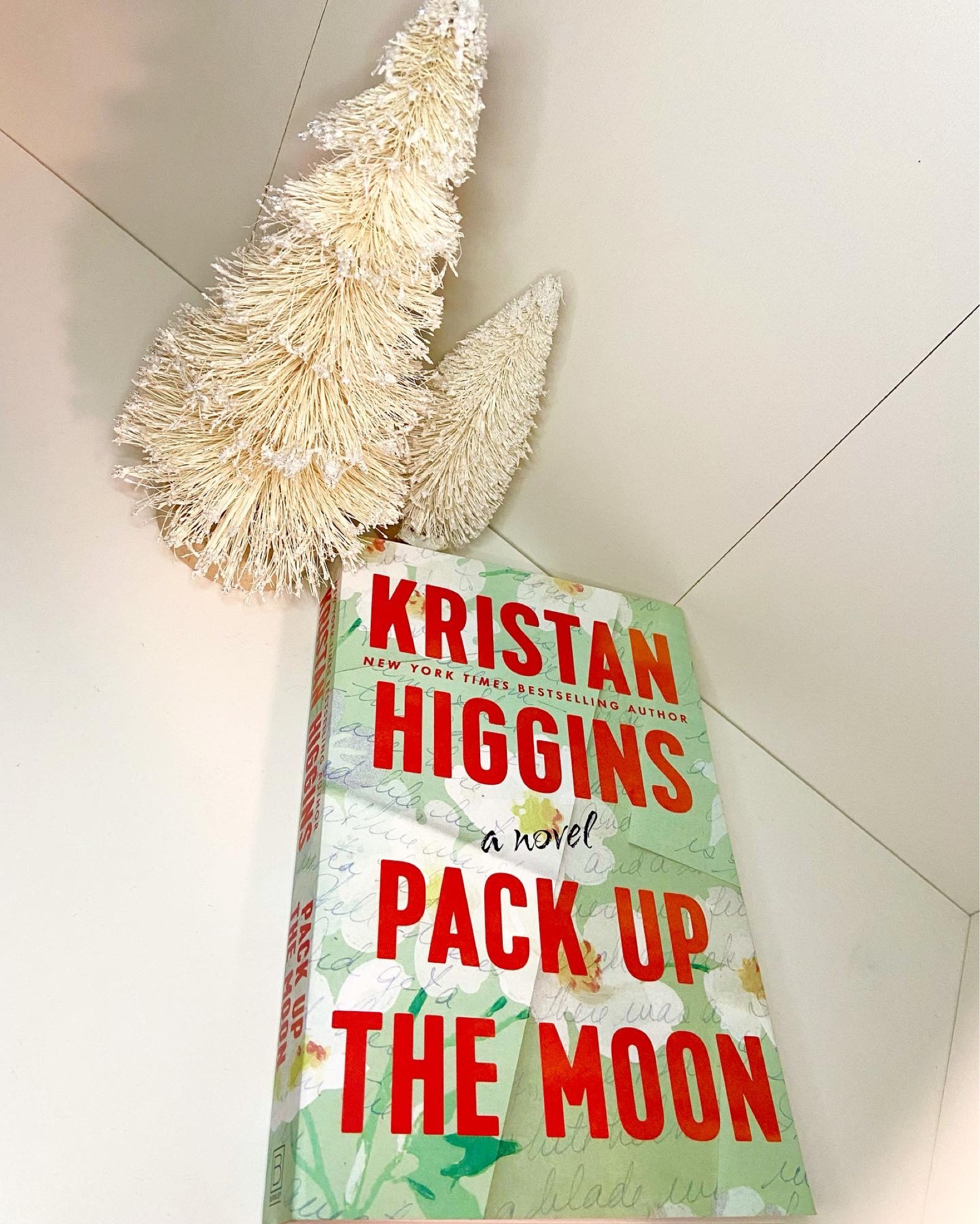 Pack up the moon by Kristan Higgins #books #LTKBooks #novels 

#LTKFind #LTKGiftGuide