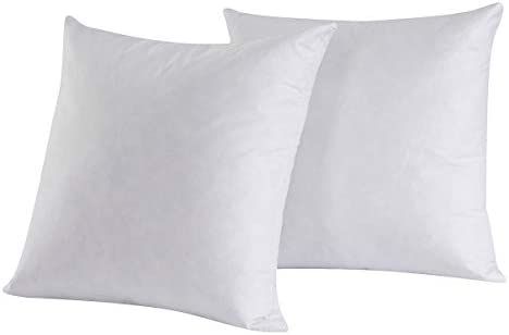 HOMESJUN Set of 2, 95% Feather 5% Down Square Decorative Throw Pillow Insert, 100% Cotton, 24x24 ... | Amazon (US)