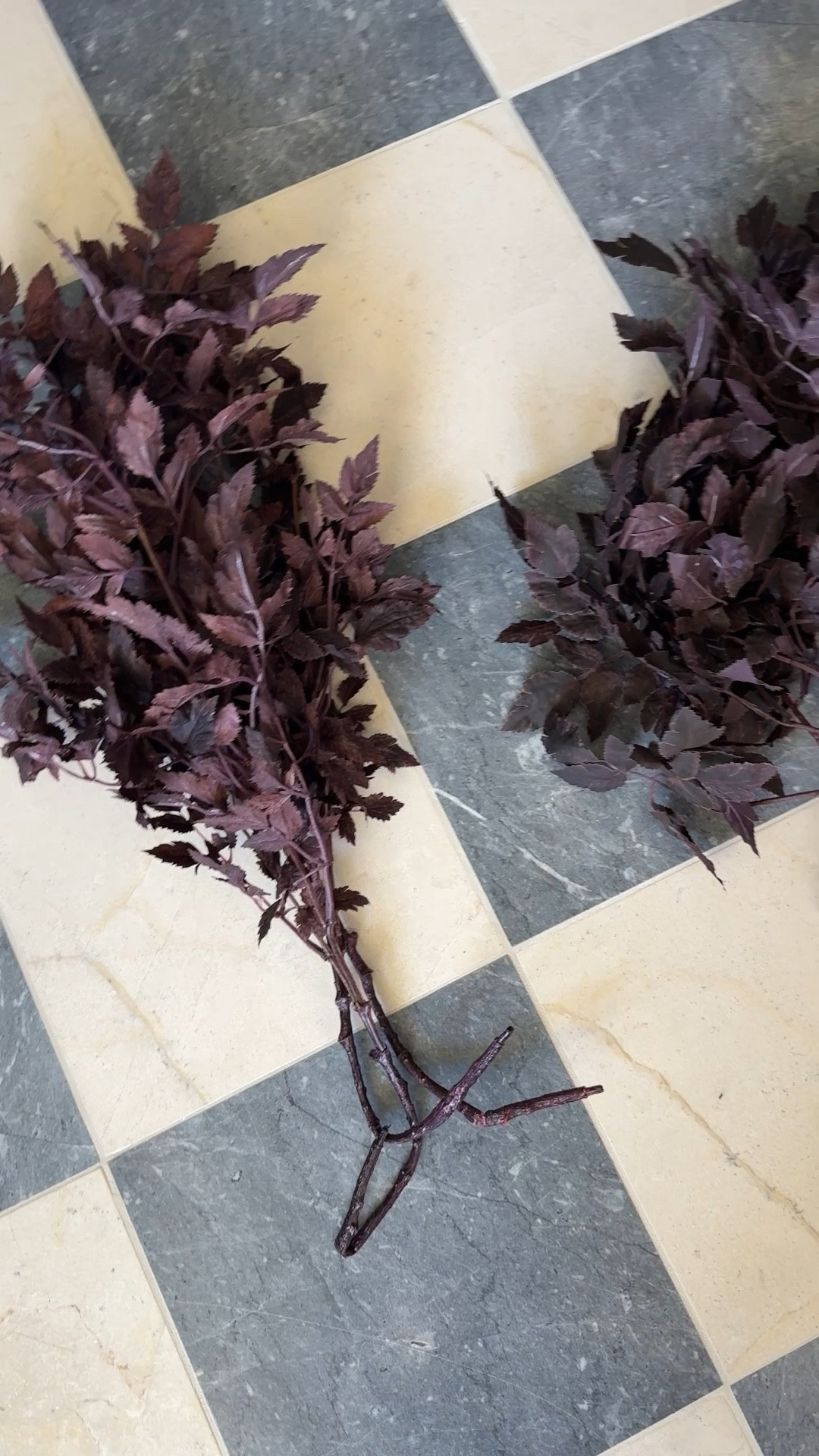 Here’s the difference between the high end and cheaper version of these plum fall floral stems!  #falldecor #fallflorals #fallhome #homedecor #fauxflorals

#LTKHome #LTKSeasonal