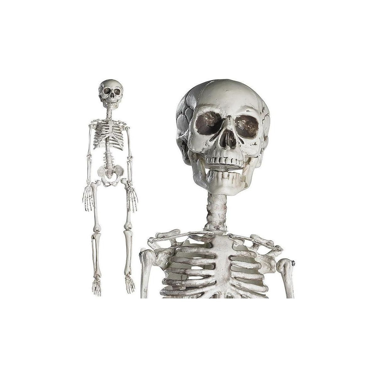 PREXTEX 30” Halloween Skeleton for Halloween Decor, White | Target