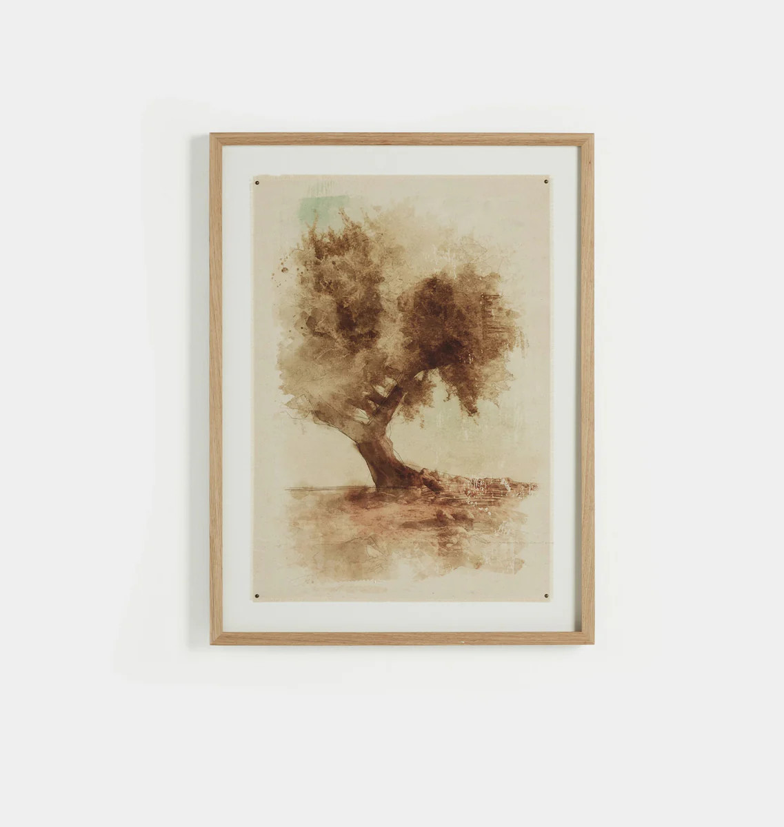 Undone Cypress by Coup d'Esprit Framed Print | Amber Interiors