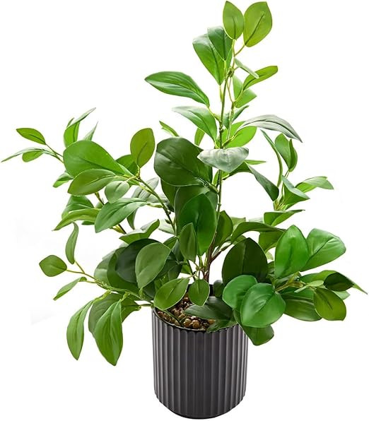16 inch Artificial Plants Indoor Realistic Touching Evergreen Leaf Fake Plant with Creamic Black ... | Amazon (US)