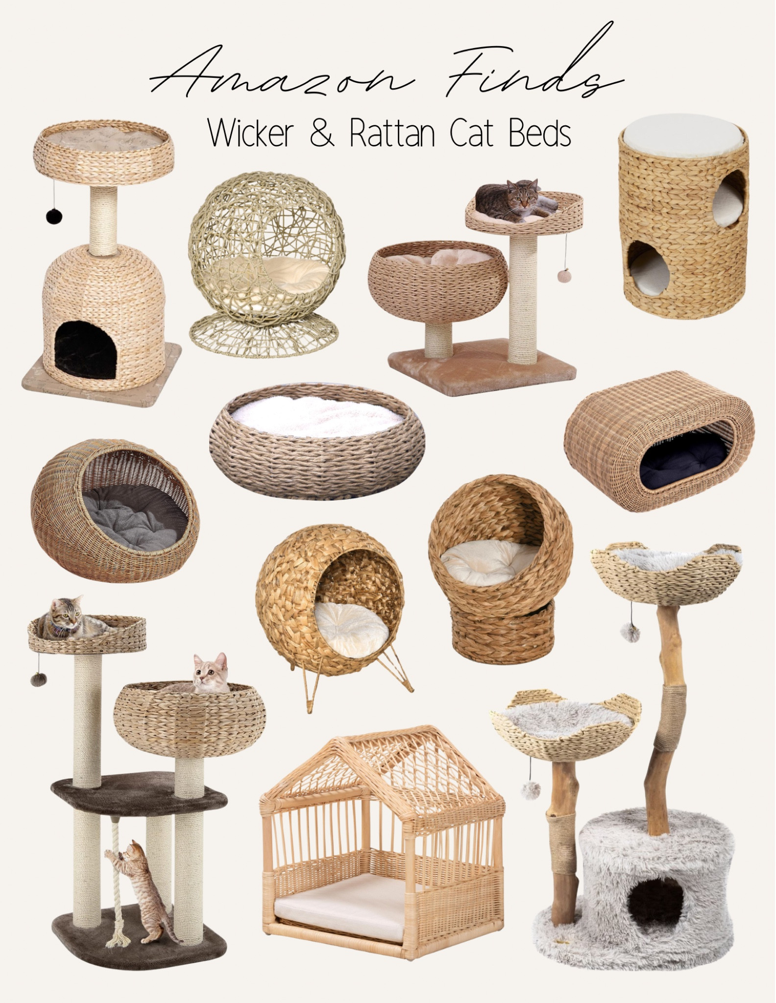 All the best wicker and rattan cat furniture on Amazon! 🤍

#LTKfindsunder100 #LTKU #LTKhome