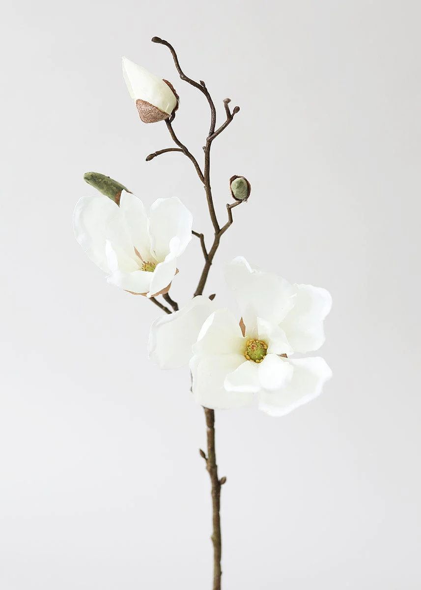 Silk Magnolia in Cream White - 19 | Afloral