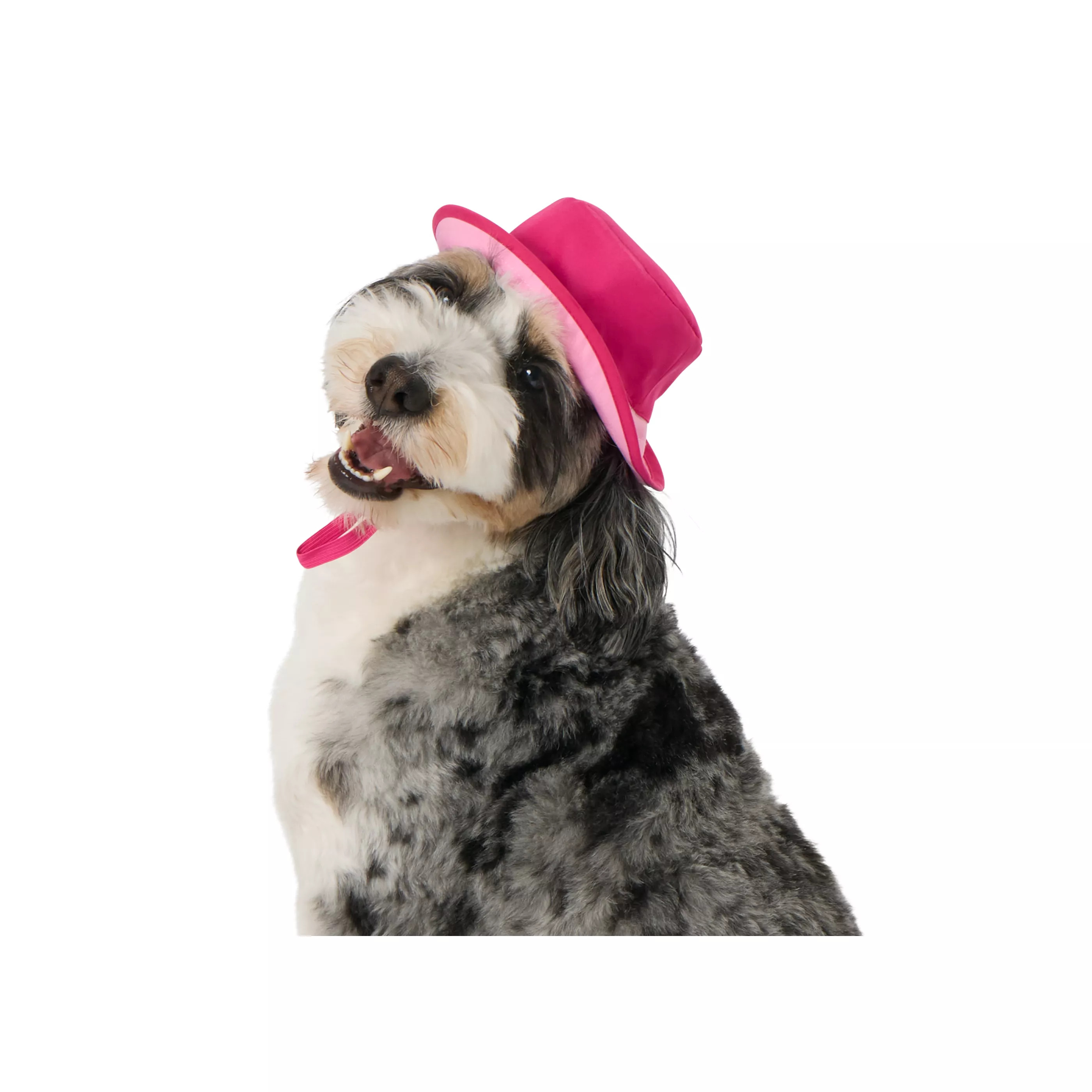 Top Paw® Summer Bucket Hat | PetSmart