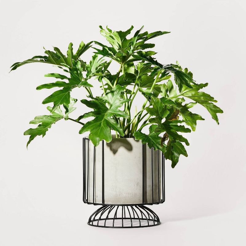 Outdoor Planter Pot with Metal Stand - Hilton Carter for Target | Target
