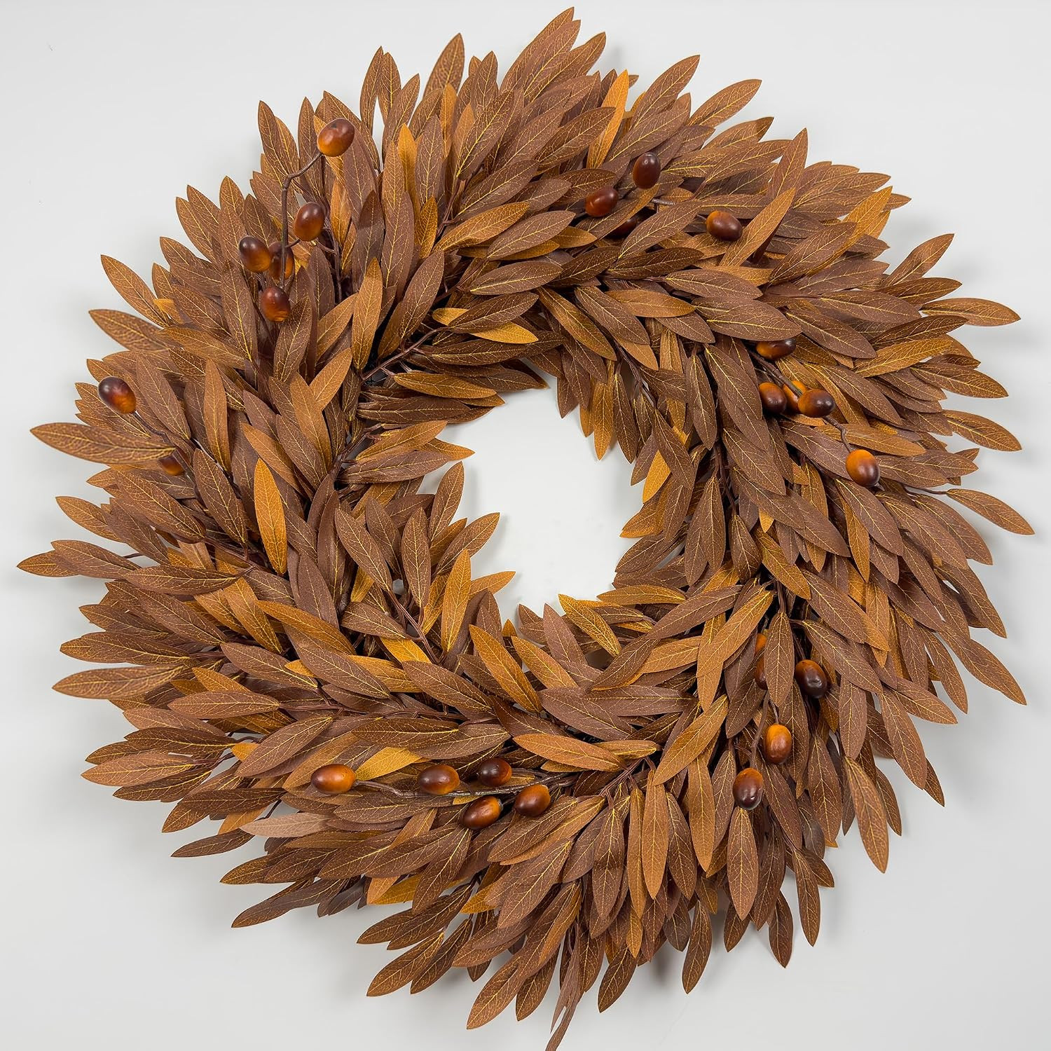 24 Inch Artificial Fall Wreath for Front Door, Autumn Olive Branch Wreathh | Amazon (US)