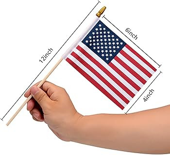 12 Pack Small American Flags on Stick Small US Flags/Mini American Flags for Outside 4x6 Inch Ame... | Amazon (US)