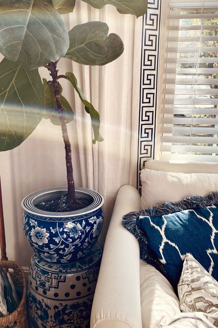 We recently bought the next size up of these #blueandwhite planters. They are amazing. Super durable and just gorgeous in person - great price point, too

#mywilliamssonoma #williamssonoma #blueandwhite #fiddleleaffig #grandmillennial #grandmillennialdecor 

#LTKhome #LTKSeasonal #LTKunder100