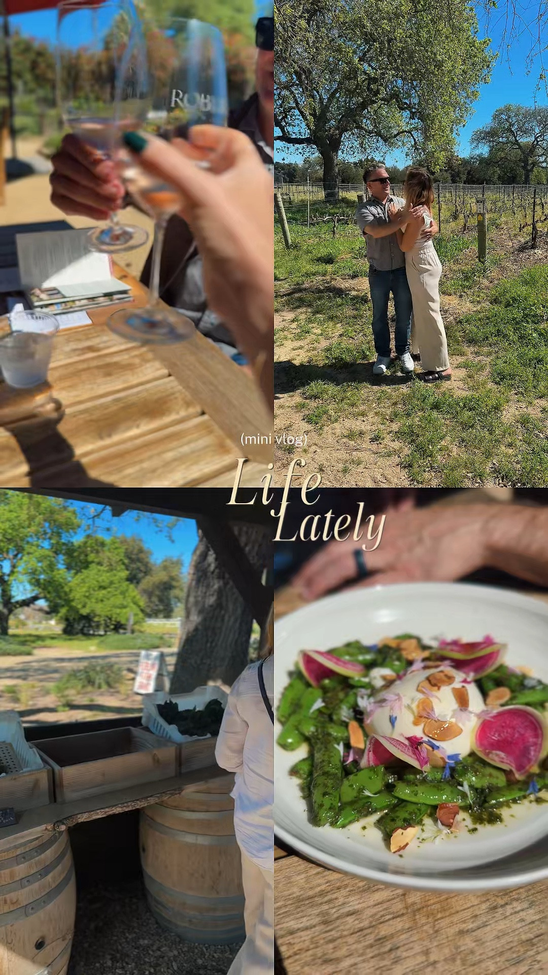 Life lately in Santa Barbara 🤍
spring outfit • neutral travel outfit • wine country style

A few little moments lately around Santa Barbara — beach days, farmers market mornings, cruising down State Street on e-bikes, and a little wine tasting in the valley.

For the day I wore one of my favorite easy neutral outfit formulas: creamy beige trousers with a fitted seamless white tank, layered with a linen button-down and a cozy fuzzy cardigan. Finished the look with black chunky platform sandals and a small black crossbody bag. It’s the kind of elevated casual outfit that works for walking around town, wine country afternoons, or relaxed coastal days.

Also linking my black mesh Amazon swimsuit you see in the video — such a flattering vacation swimsuit / beach day swimsuit and one of my favorite recent Amazon finds.

Sizing reference:
I’m 5’7”, size 6, usually small in tops and medium in bottoms.

Everything is linked in my LTK 🤍

#springoutfit #neutraloutfit #santabarbarastyle #winecountryoutfit #traveloutfit

#LTKootd #LTKdayinmylife #LTKmomlife