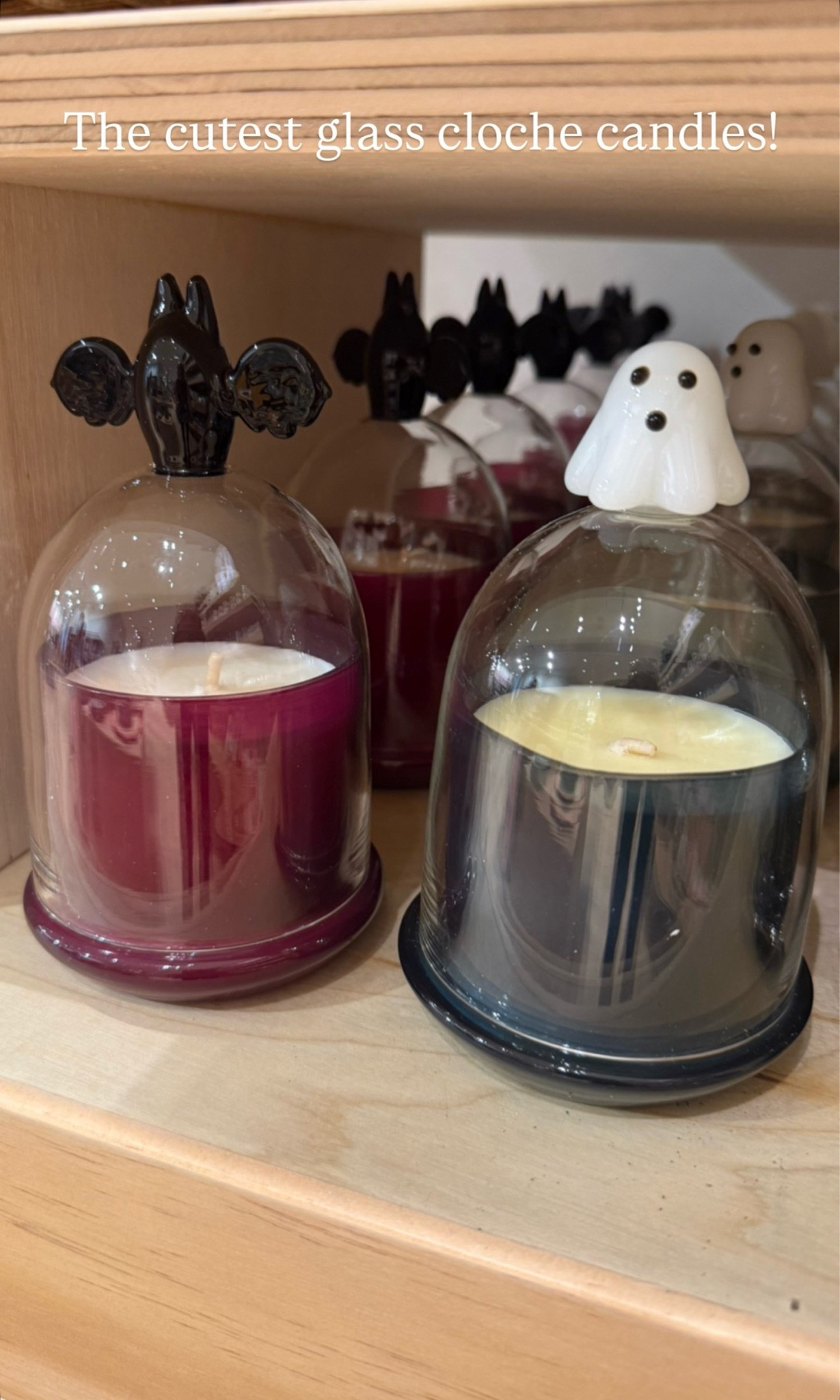 Halloween candle
Anthropology

#LTKmomlife #LTKSeasonal #LTKHome