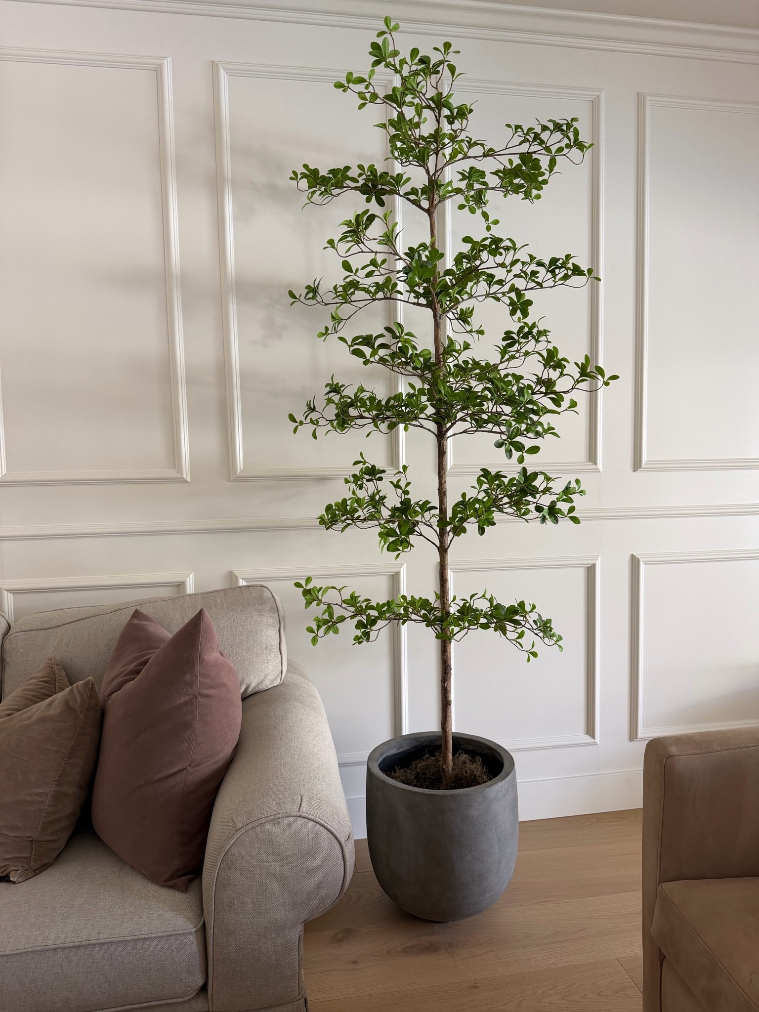 Our faux olive tree is on sale!!! 👏👏
