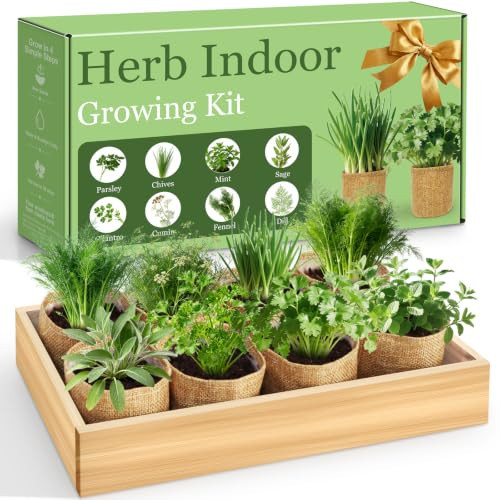 LUOJIBIE Herb Garden Kit Indoor, Herb Growing Kit with Seeds & Tools, Birthday Gifts for Women Men Mom Dad Girls Boys Kids, House Warming Gifts New Home, Kitchen Décor | Amazon (US)