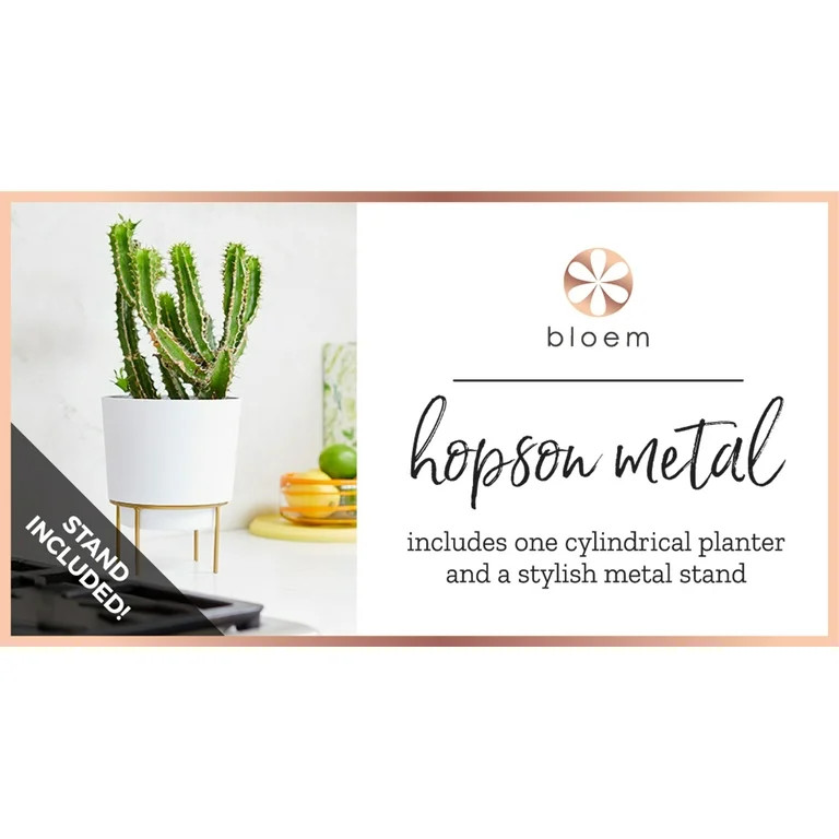 Bloem Hopson Planter w/ Metal Gold Stand 6 in. Casper White | Walmart (US)