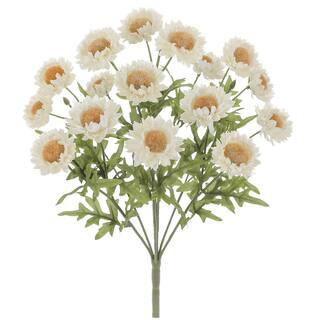 Cream Strawflower Bush by Ashland® | Michaels Stores