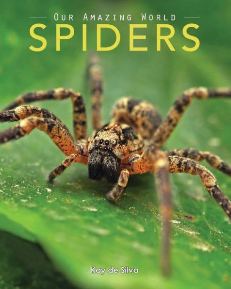 Spiders: Amazing Pictures & Fun Facts on Animals in Nature | Barnes & Noble