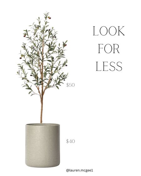 Organic modern olive tree for less

#LTKhome #LTKstyletip #LTKfindsunder50