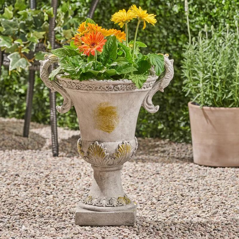 Singita Lightweight Concrete Urn Planter | Wayfair Professional