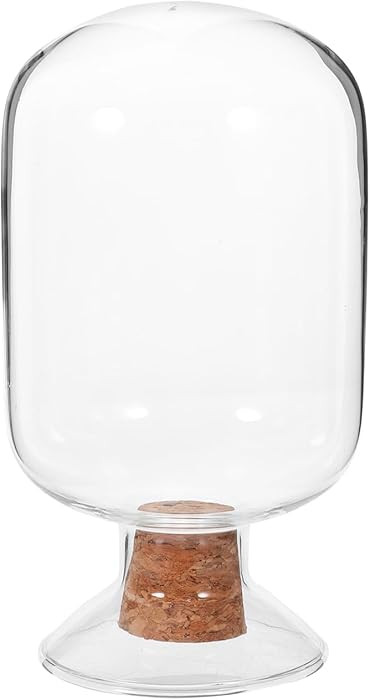 Veemoon Glass Match Canister with Wood Stopper Transparent Storage Jar for Matches and Small Item... | Amazon (CA)