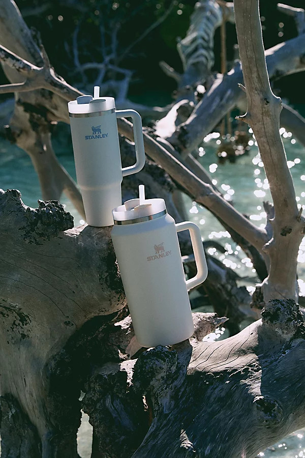 Stanley Quencher 2.0 FlowState 40 oz Tumbler | Urban Outfitters (US and RoW)