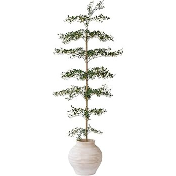 Black Olive Tree Artificial 7 Feet Tall, Artificial Shady Lady Tree, Faux Decorative Tree | Amazon (US)