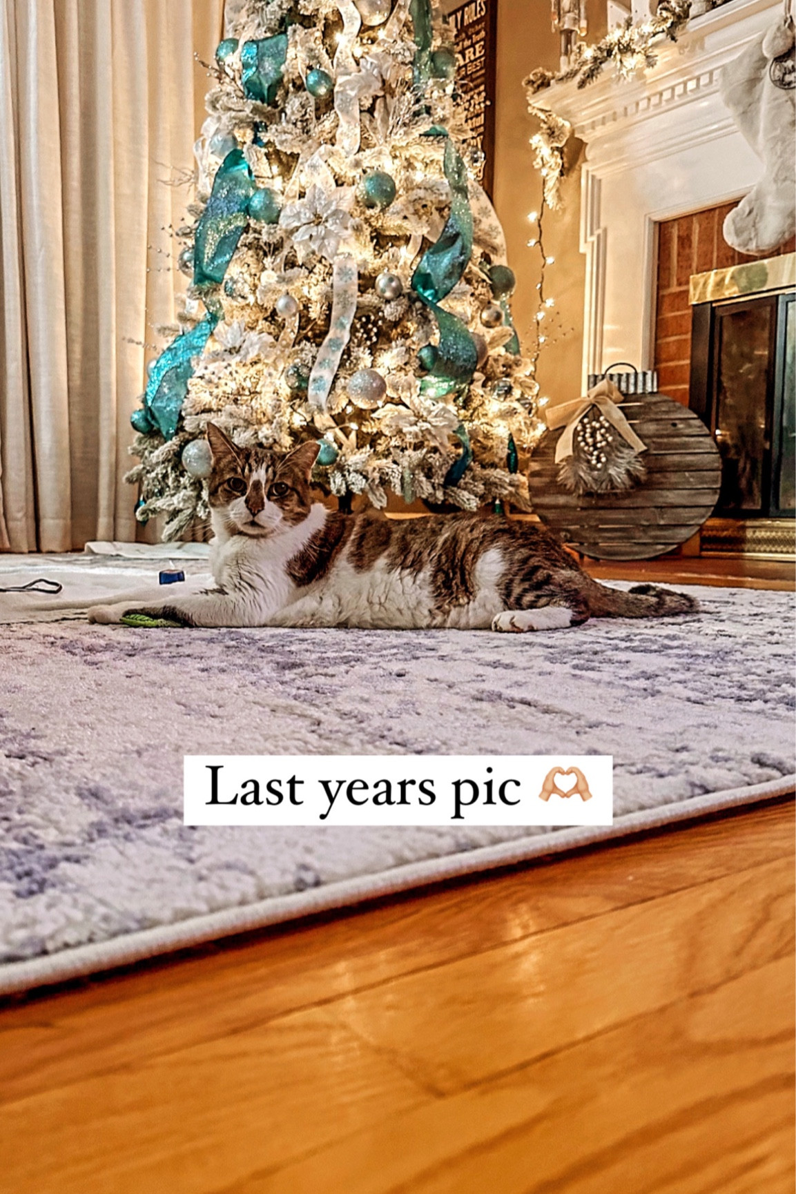 Our tree is 50% off 

#LTKSeasonal #LTKHolidaySale #LTKhome