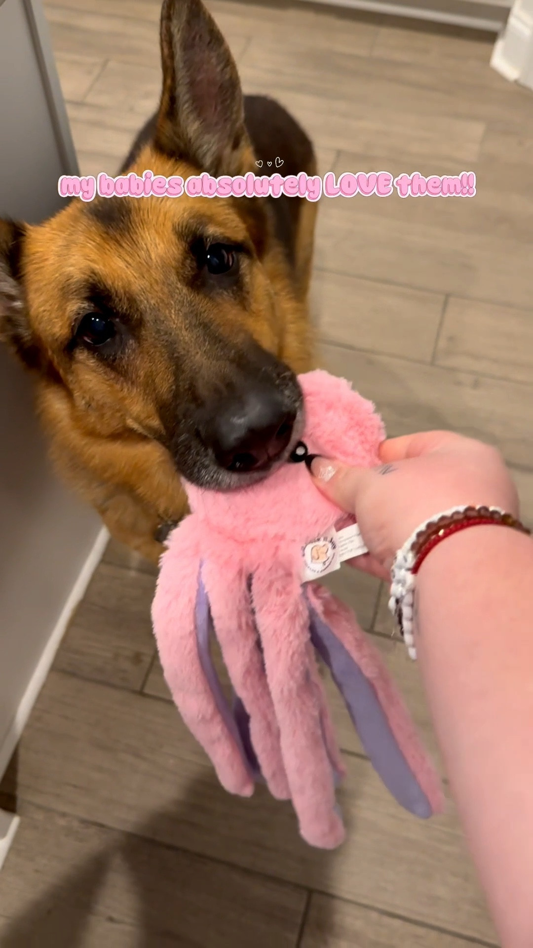 my dogs absolutely LOVE these toys and they’re so stinkin cute!! They’re only available for a limited time tho, so make sure you get some for your fur babies now!!!

#LTKHome #LTKFindsUnder50 #LTKPets