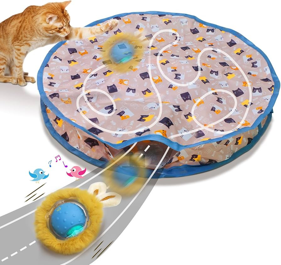 Interactive Cat Toys Ball Fast Rolling in Pouch, Motion Activate Chirping Cat Toy Hide and Seek M... | Amazon (US)