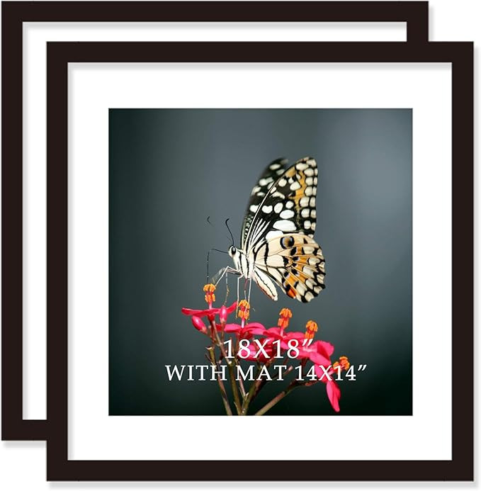 18x18 Frame Black With Mat 14x14 Solid Wood Picture Frames Wall Mounting (2 pack, 18x18 Inch) | Amazon (US)